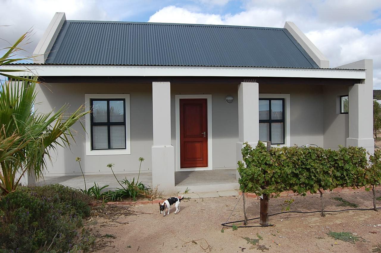 Longacre Olive & Vineyard Estate Langebaan Exterior foto