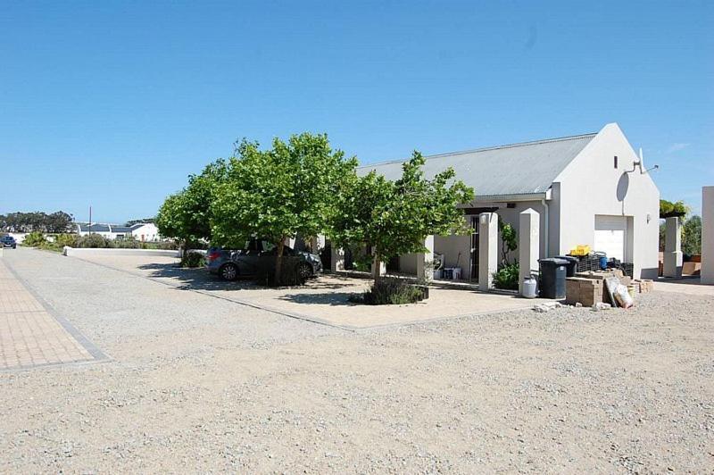 Longacre Olive & Vineyard Estate Langebaan Exterior foto