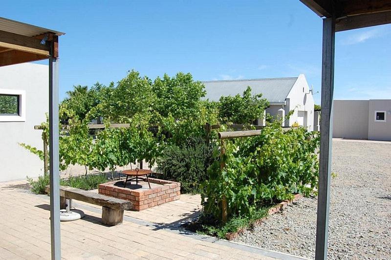 Longacre Olive & Vineyard Estate Langebaan Exterior foto